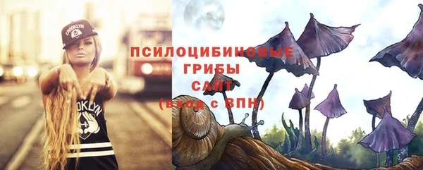 герыч Осинники